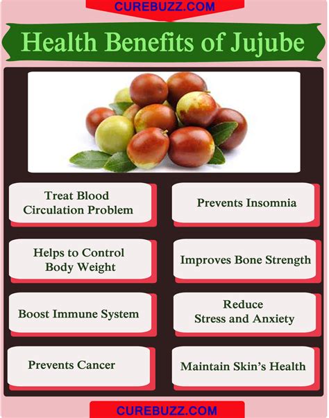 jujube benefits